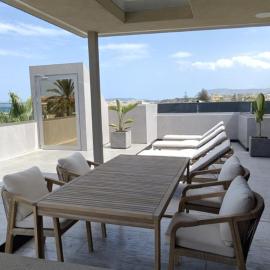 Summertime Signature Suites