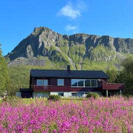 Lofoten Red Villa، فندق في Laupstad