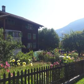 Casa Vegana, hotel a Trun