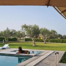 Maison dolce vita, hotel u gradu Monastir