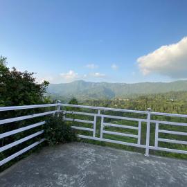 The Nature House Village Homestay