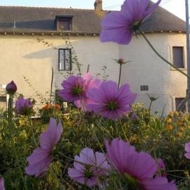 Manoir de la Guignardiere - Charme et Douceur, hotel em Chavagne