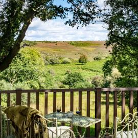 The Lookout, hotel v destinácii Fritham