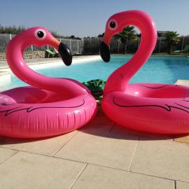 Domaine de la Laigne - Spa, hotell i Asnières-la-Giraud