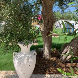 Tenuta Serena Apartments