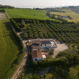 Casetta tra gli ulivi, hôtel à Ancône