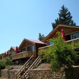 Azra Villas, hotell i Çıralı