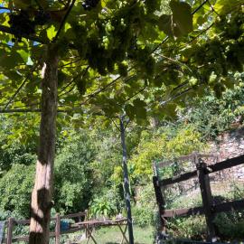 Casa Esterina, hotelli kohteessa Garessio