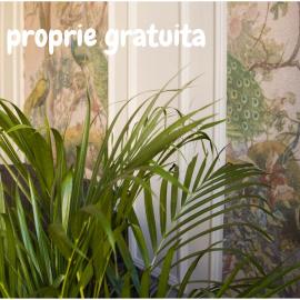 Allegro apartments city center, hotel u gradu 'Oradea'