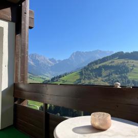 Malejo - HochkönigCard - Pool - Ski-in & Ski-out