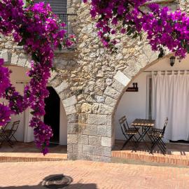 Apartamento La Palmera Plaza