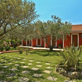 Dendrolivano, hotel sa Minia