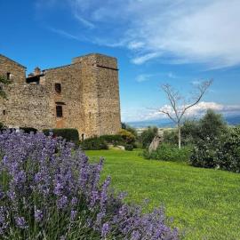 Medieval Tower in Umbria with Swimming Pool