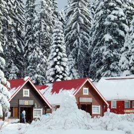 Alpine ski chalet Borovets with sauna, Hotel in Borowez
