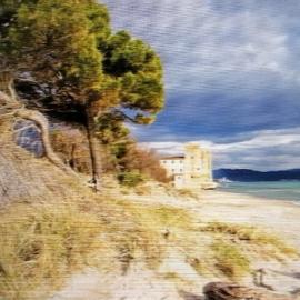 Hausemaremma 1 camera, hotel di Follonica