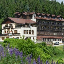 Hotel Zieleniec, hotel din Zieleniec