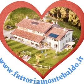 Agriturismo Fattoria Monte Baldo VISTA LAGO, hotel in Caprino Veronese
