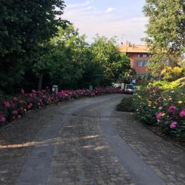 Tenuta Cantaia