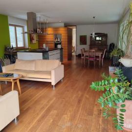 Loft mit Kamin und Whirlpool, hotel a Lustenau