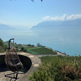 Panoramic Room in the vineyard,stunning views of lake and Alps, hotel em Puidoux