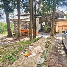 Mountain Home - Galyatető, Hotel in Galyatető