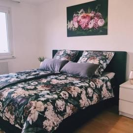 Ferienwohnung Sigmaringen, hotel a Sigmaringen