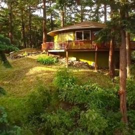The Island Treehouse