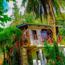 Steven and Dayness homestay, Hotel in Lushoto