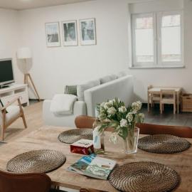 Ferienhaus Stiefel, Hotel in Schutterwald