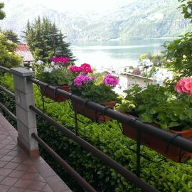 Lake and Guzzi view - Holiday Home, hotel in Mandello del Lario