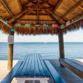 Serenity at Moon Bay!
