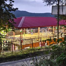 hotel chakrata green and camping: Chakrāta şehrinde bir otel