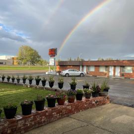 Rest Easy Motel, hotel in Three Hills