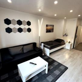 Modern & Cozy 1 room Apartment