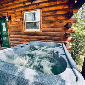 Willow Cabin, hotel in Thompsonville