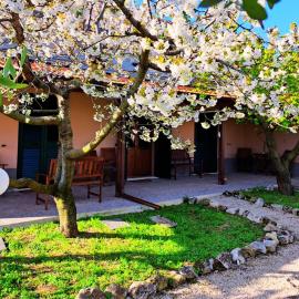 Don Federico Country Inn，Moscufo的飯店