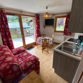 Charmant 2 pièces avec terrasse ouest, près des pistes, parking inclus - FR-1-692-89