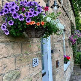 Ellen House Bed and Breakfast, hotel v destinácii Matlock