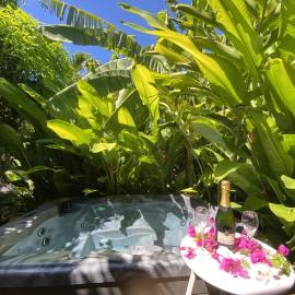 Kaz ananas, spa privatif ,plage du Helleux