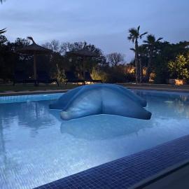 Mallorca Finca Gallo Negro Santanyi Campos gesamte Unterkunft Social Media, hotel v destinaci Campos