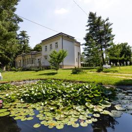 Conacul Buzdugan – hotel w mieście Valea Mică