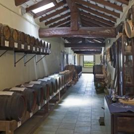 B&B Acetaia Il Mulino Di Navicello, hotel a Modena