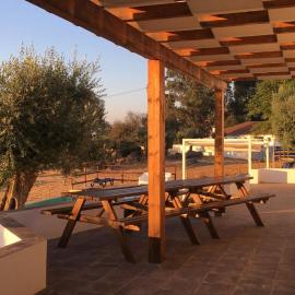 Almojanda 3 Olive Tree, hotel in Fortios