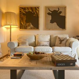 Wonderful apartment overlooking the Swiss alps