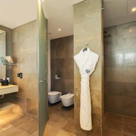 Amman Rotana, hotel v destinácii Ammán