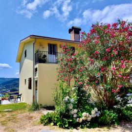 Mélita Guesthouse, מלון בבראגה