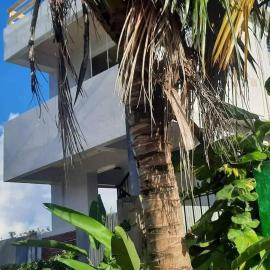 Bayay ni Mayang (Fully furnished apartment), hotel din Surigao