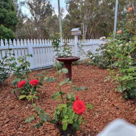 Rose Cottage Nannup, khách sạn ở Nannup