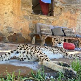 Iziba Principality, khách sạn ở Clanwilliam
