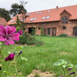 Ferienhof Weitblick, hotelli kohteessa Letschin